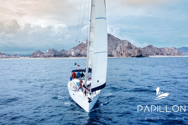 Luxury sailing experience in Los Cabos Papillon 2 - Image 3
