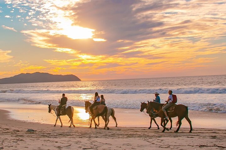 NEW!! Cabo Shore Beach Horseback Ride - Daytime & Sunset Tours - Image 3