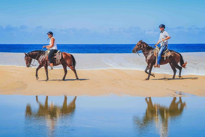 NEW!! Cabo Shore Beach Horseback Ride - Daytime & Sunset Tours - Image 5
