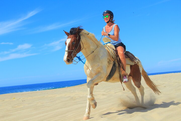 NEW!! Cabo Shore Beach Horseback Ride - Daytime & Sunset Tours - Image 1