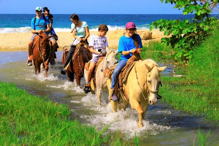 NEW!! Cabo Shore Beach Horseback Ride - Daytime & Sunset Tours - Image 2