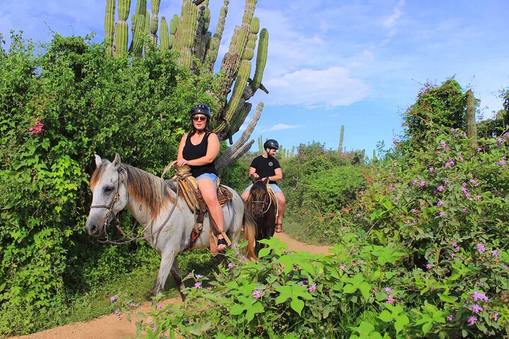 NEW!! Cabo Shore Beach Horseback Ride - Daytime & Sunset Tours - Image 4