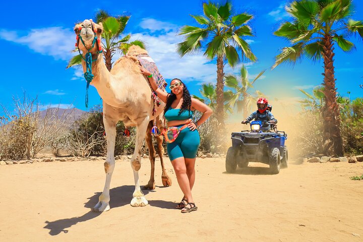 NEW! Combo Camel Ride & ATV 4X4 Adventure in Los Cabos Tequila  - Image 1