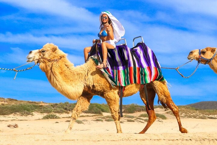 NEW! Combo Camel Ride & ATV 4X4 Adventure in Los Cabos Tequila  - Image 4