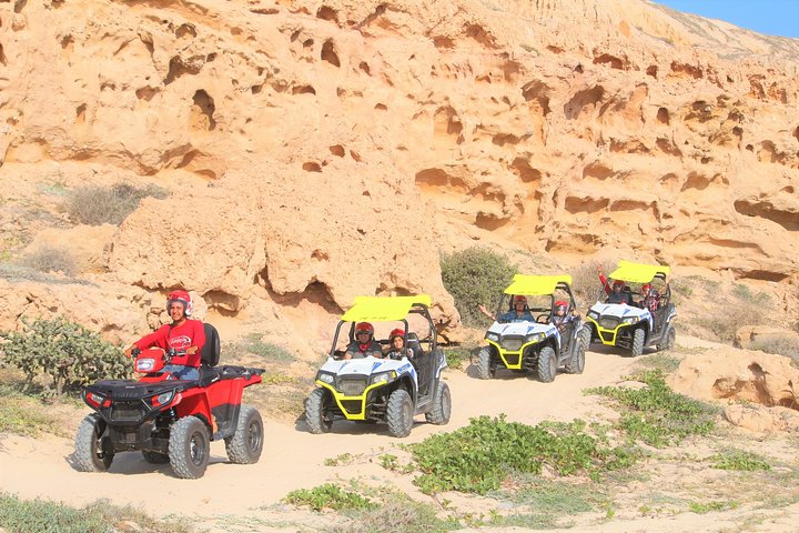 Night Tour Cabo Migrino Beach & Baja Desert Moon riders! - Image 4