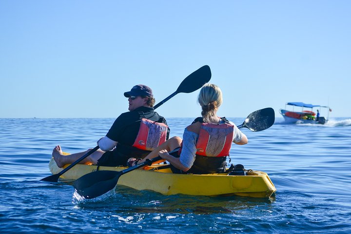  Private Glass bottom Kayak and snorkel at two Bays - Image 5