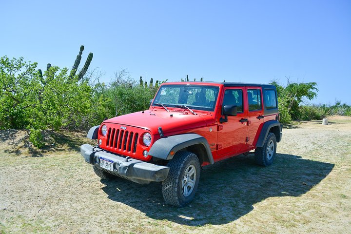 Private Jeep Tour Cabo Pulmo  - Image 5