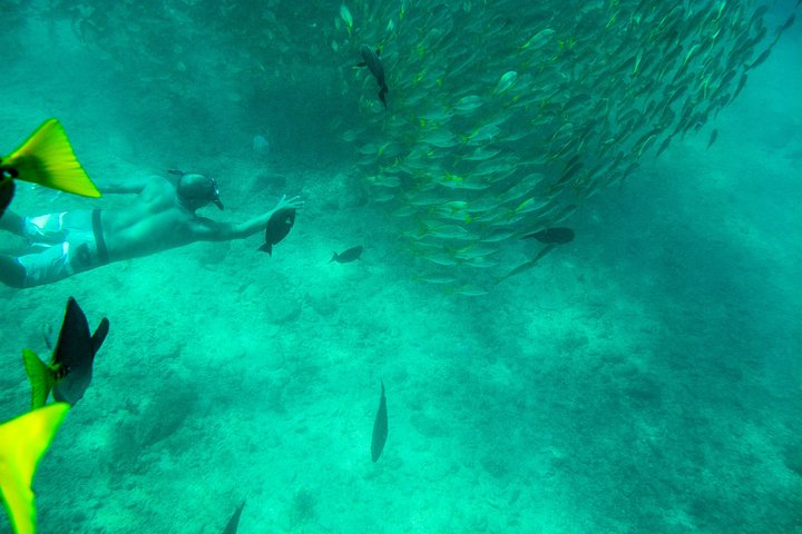 Private Los Cabos snorkeling tour to Chileno bay and Santa Maria cove - Image 4