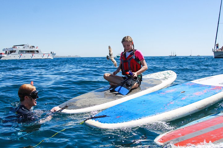 Private Paddleboard and snorkel at the arch - Image 5