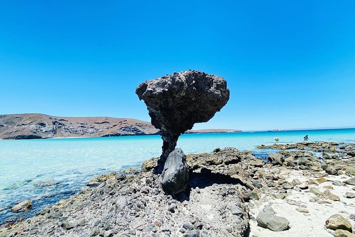 Private Tour to Balandra, La Paz and Todo Santos - Image 5
