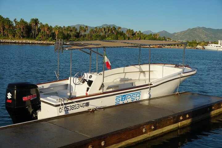 Private Whale Watching in San José del Cabo  - Image 5