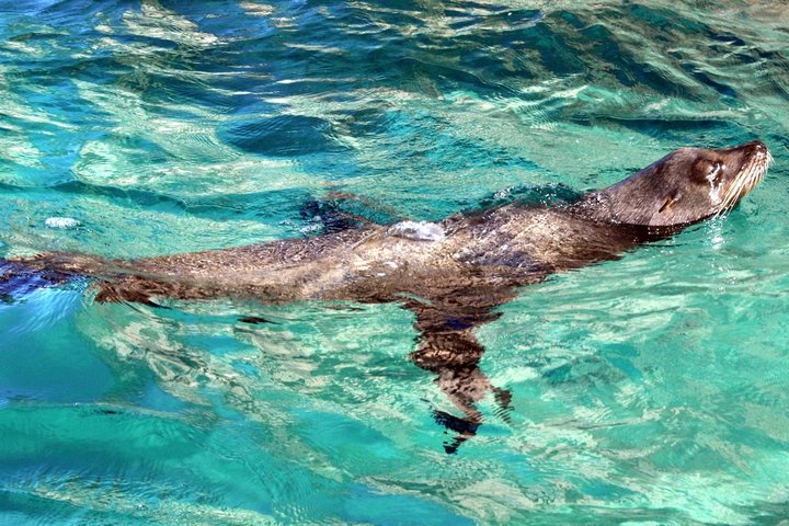 Small Group Tour of Los Cabos  - Image 5