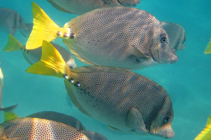 Small Group Tour of Los Cabos  - Image 2