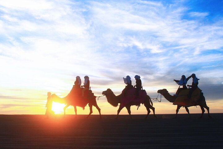 Sunset Camel Ride and ATV Combo Adventure in Los Cabos - Image 3