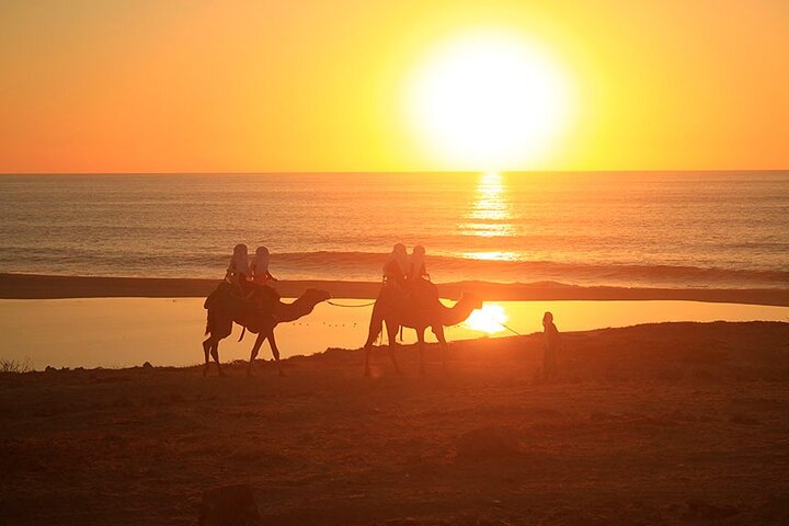 Sunset Camel Ride and ATV Combo Adventure in Los Cabos - Image 1