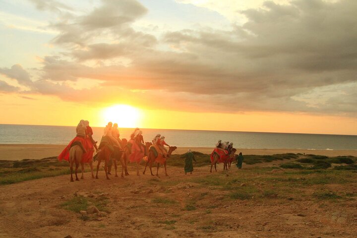 Sunset Camel Ride and ATV Combo Adventure in Los Cabos - Image 4