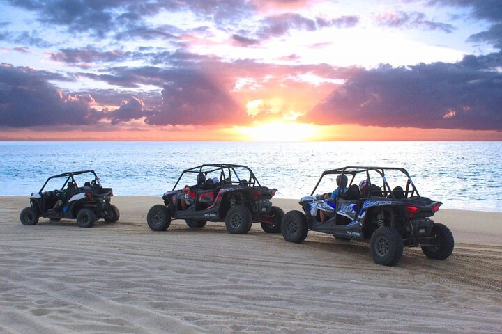 Sunset Camel Ride and ATV Combo Adventure in Los Cabos - Image 5