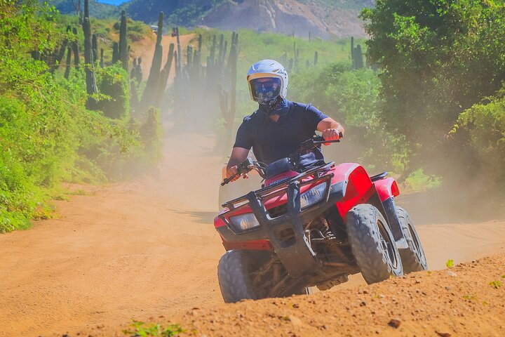 The Best Combo Outdoor Excursions Cabo. transportation included - Image 4
