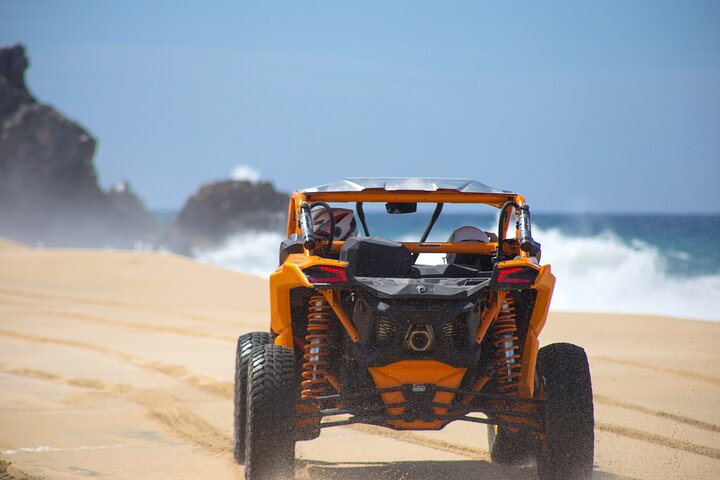 The Best Combo Outdoor Excursions Cabo. transportation included - Image 3