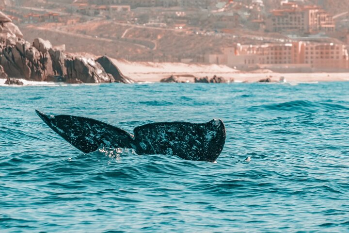 The Finest Yacht Tour Experience | 3 hrs for up to 8 people - Image 4
