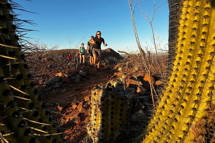 Todos Santos Sunset Hike  - Image 5