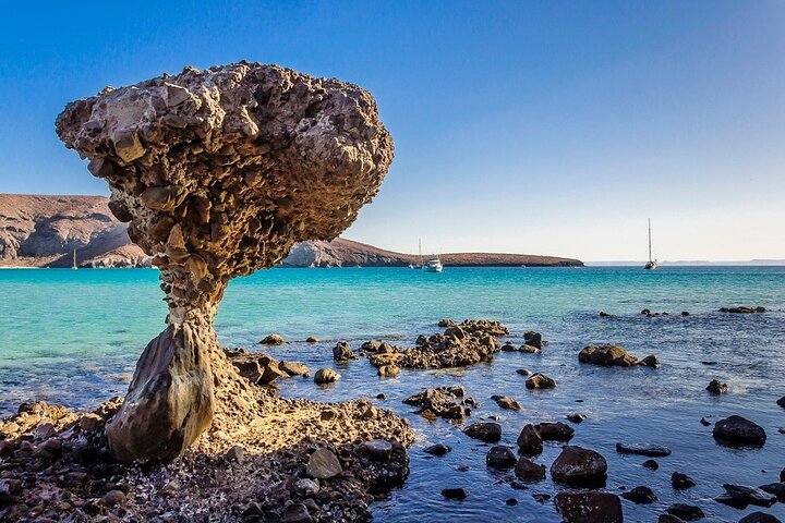 Tour to La Paz, Balandra and Todos Santos from CABO and San Jose - Image 5