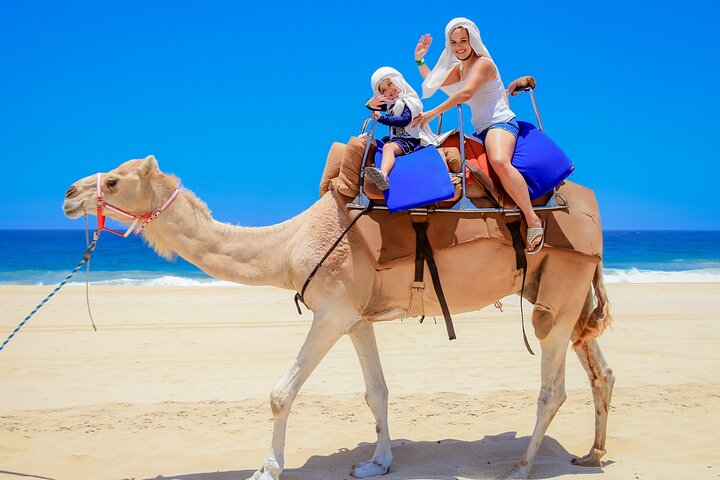 UTV and Camel Ride in the Cabo Desert - Image 2