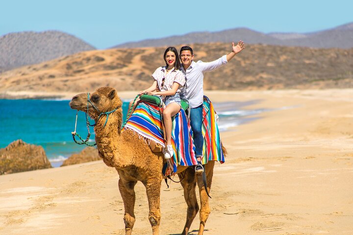 UTV and Camel Ride in the Cabo Desert - Image 4