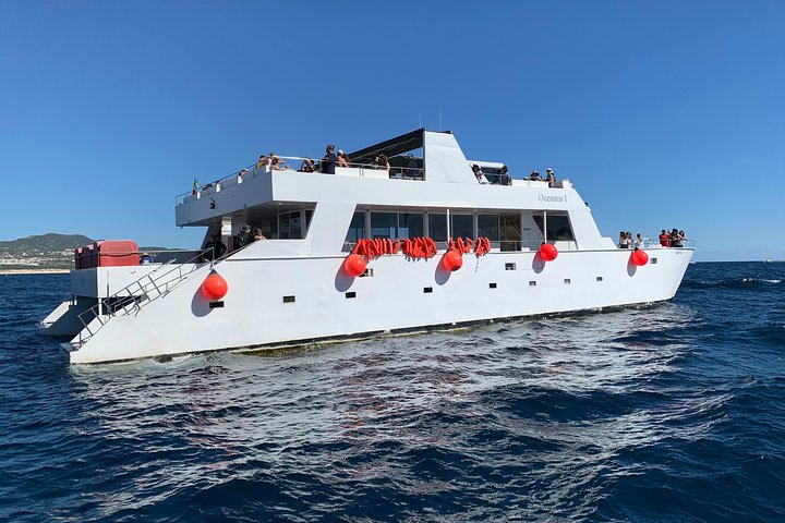 Whale Watching Cruise in Cabos San Lucas and Ground Transportation - Image 2