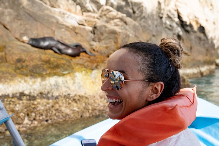 Whale Watching in Cabo San Lucas: Sightseeing Cruise and Shopping - Image 5