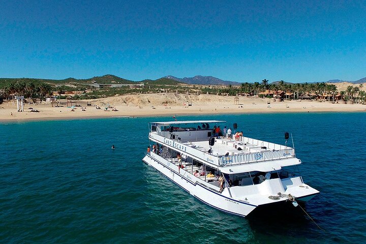 Whale Watching on 2 Level Big Boat with Breakfast and Drinks INCLUDED - Image 3
