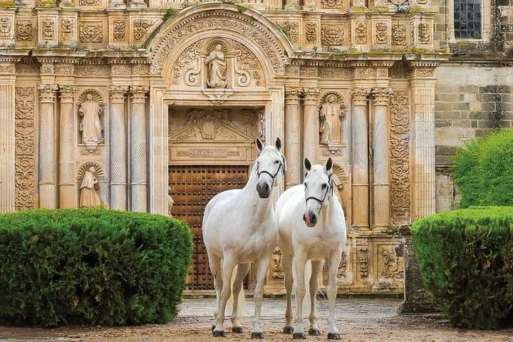 Cadiz Shore Excursion: Best of Jerez & Cadiz  - Image 3