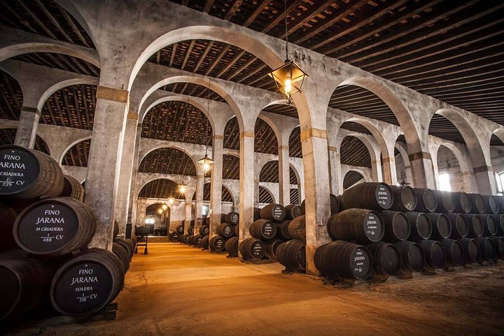 Cadiz Shore Excursion: Jerez & Cadiz Easy Accessible private tour & wine cellars - Image 4