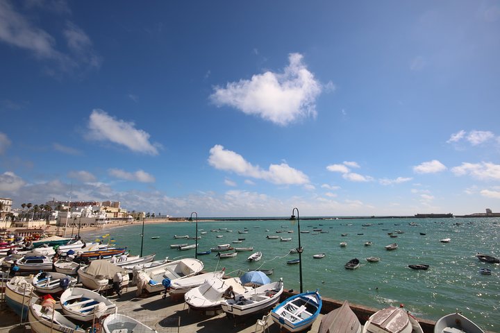 Cadiz Shore Excursion: Scenic & walking tour with cheese and sherry tasting  - Image 2