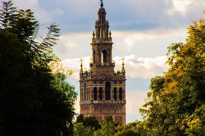 Cadiz Shore Excursion: Seville smart price cruise transportation - Image 5
