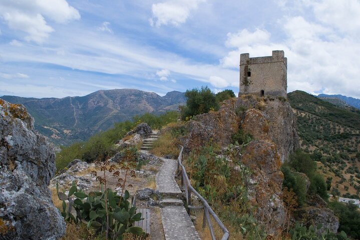 Discover beautiful surroundings of Andalusia on a private full-day tour - Image 5