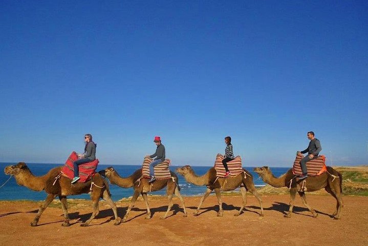 Full-Day Cadiz to Tangier Private Tour with Pick Up and Lunch - Image 5