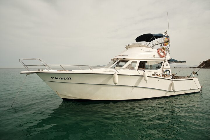 Full Day Private Fishing for Giant Tuna - Image 2