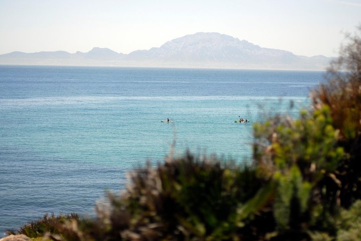 Kayak & Snorkel Tour in the Strait of Gibraltar - Image 2