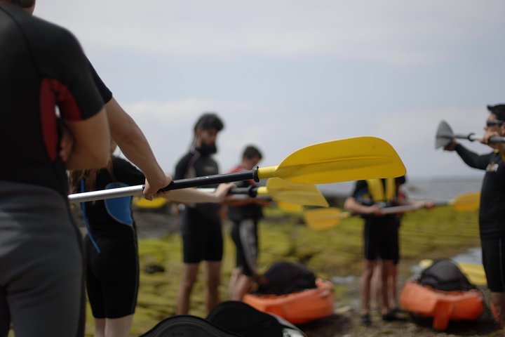 Kayak & Snorkel Tour in the Strait of Gibraltar - Image 5