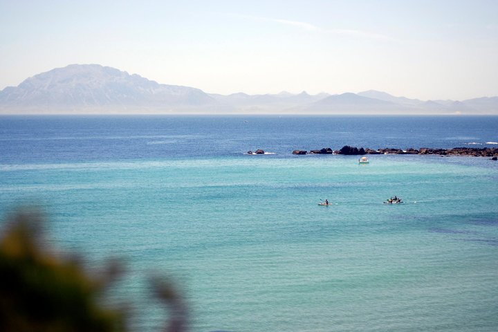 Kayak & Snorkel Tour in the Strait of Gibraltar - Image 1
