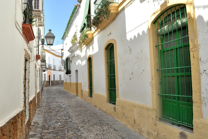 Private 4-Hours Tour of Jerez de la Frontera from Cadiz  - Image 5