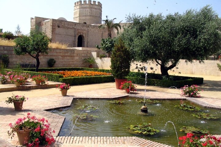 Private 6 hours Tour of Cadiz and Jerez de la Frontera from Cadiz - Image 2