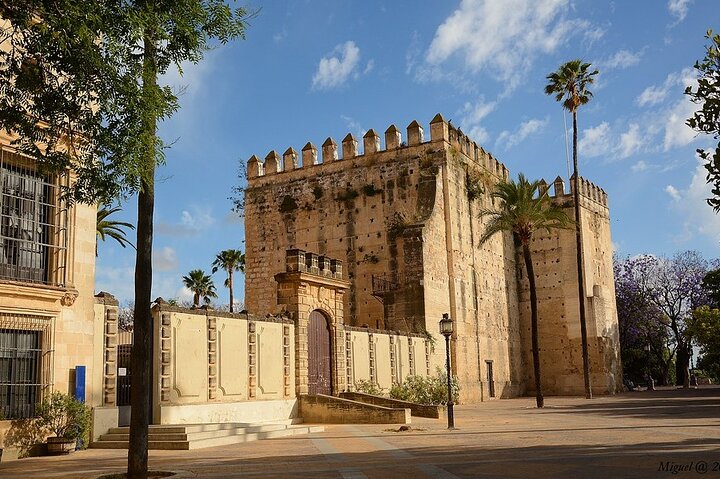 Private 6 hours Tour of Cadiz and Jerez de la Frontera from Cadiz - Image 1