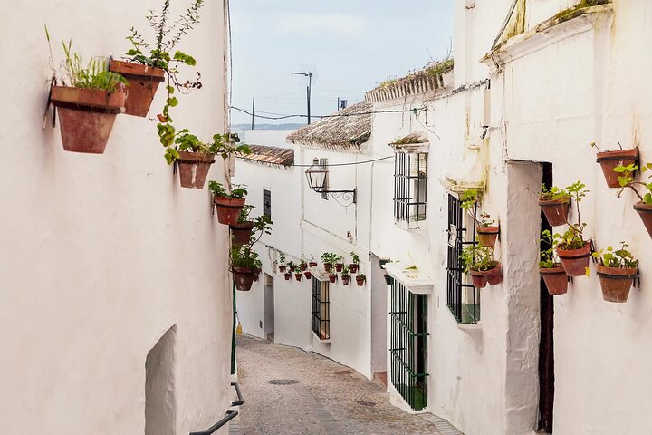 Private 8-Hour Tour of Cadiz and White Villages from Cadiz - Image 1