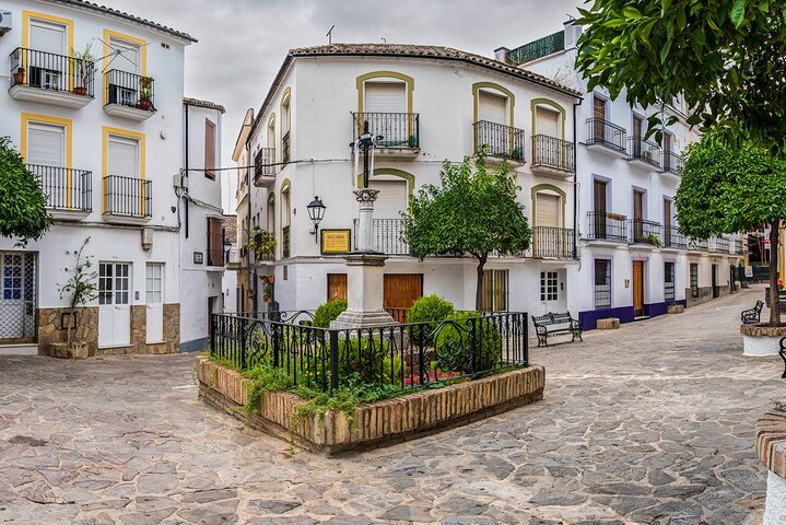 Private 8-Hour Tour of Cadiz and White Villages from Cadiz - Image 2