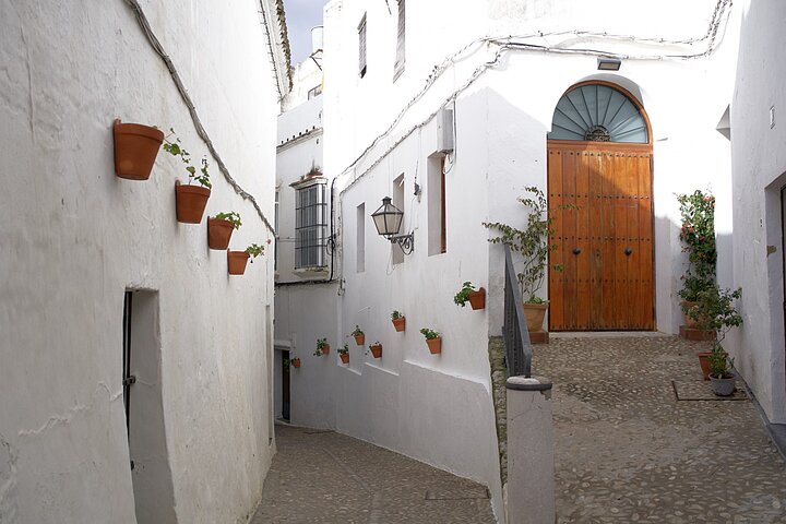 Private 8-Hour Tour of Cadiz and White Villages from Cadiz - Image 5