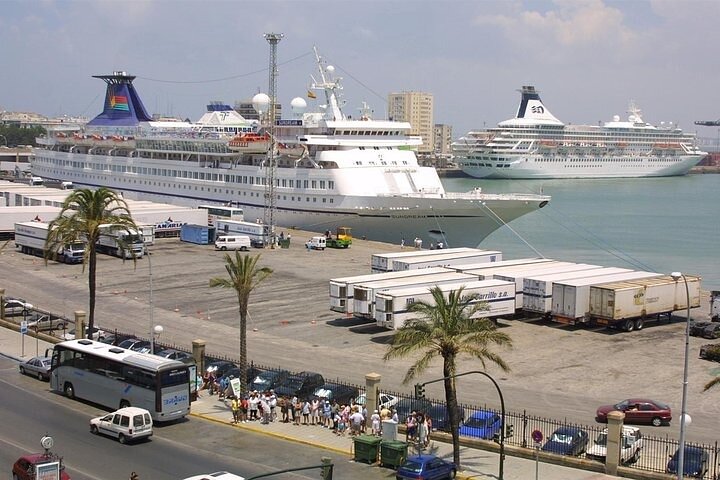 Private Day Trip from Cadiz port to Seville (tickets and transport included) - Image 1