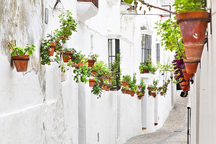 *Private Day Trip* from Cádiz: The White Towns of Andalusia - Image 4