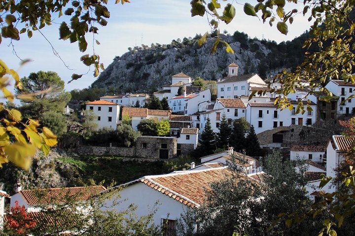 *Private Day Trip* from Cádiz: The White Towns of Andalusia - Image 2